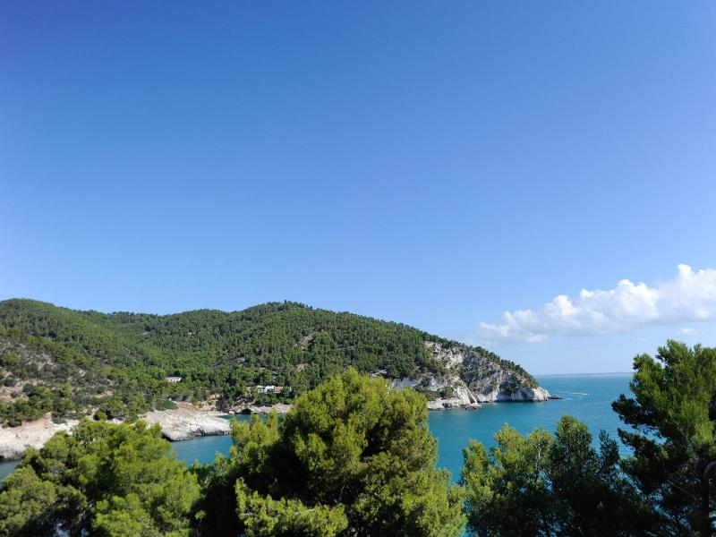 Pugnochiuso Resort - Hotel Degli Ulivi image