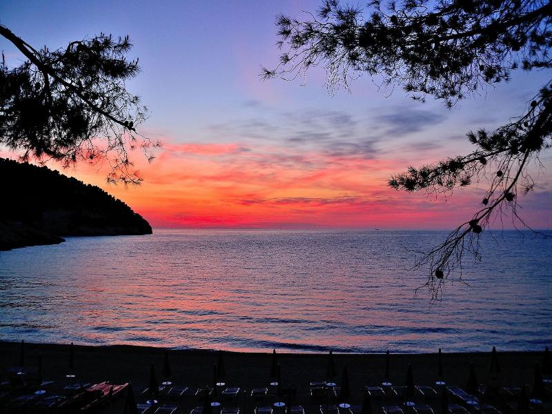 Pugnochiuso Resort - Hotel Degli Ulivi image