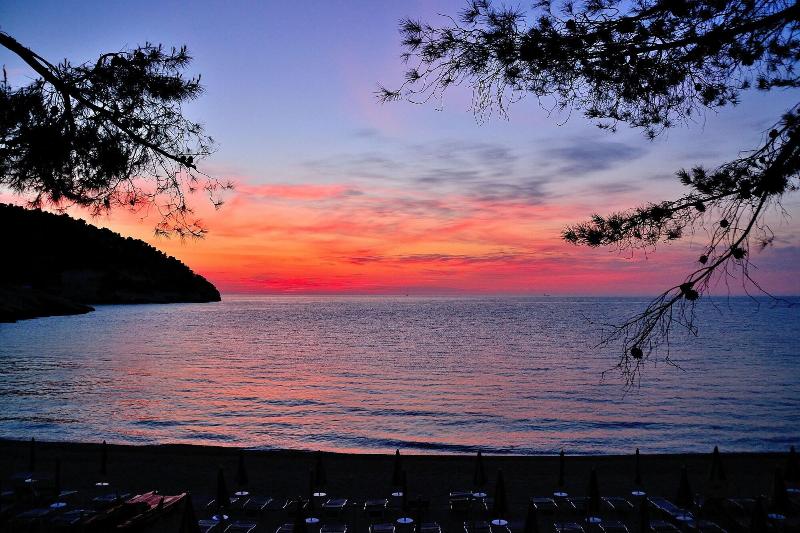 Pugnochiuso Resort - Hotel Degli Ulivi image