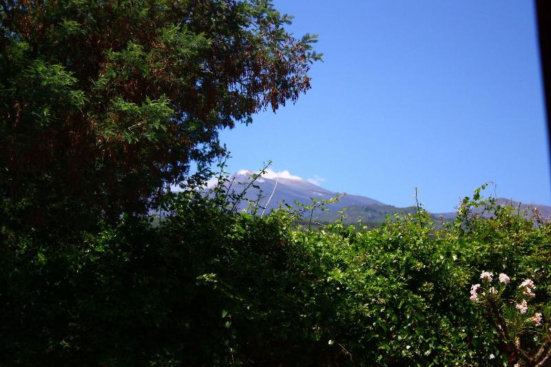B&B Sotto i Pini image