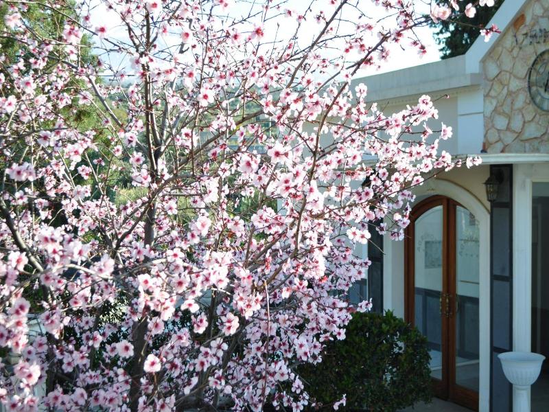 Agrihotel Croce Vallone image