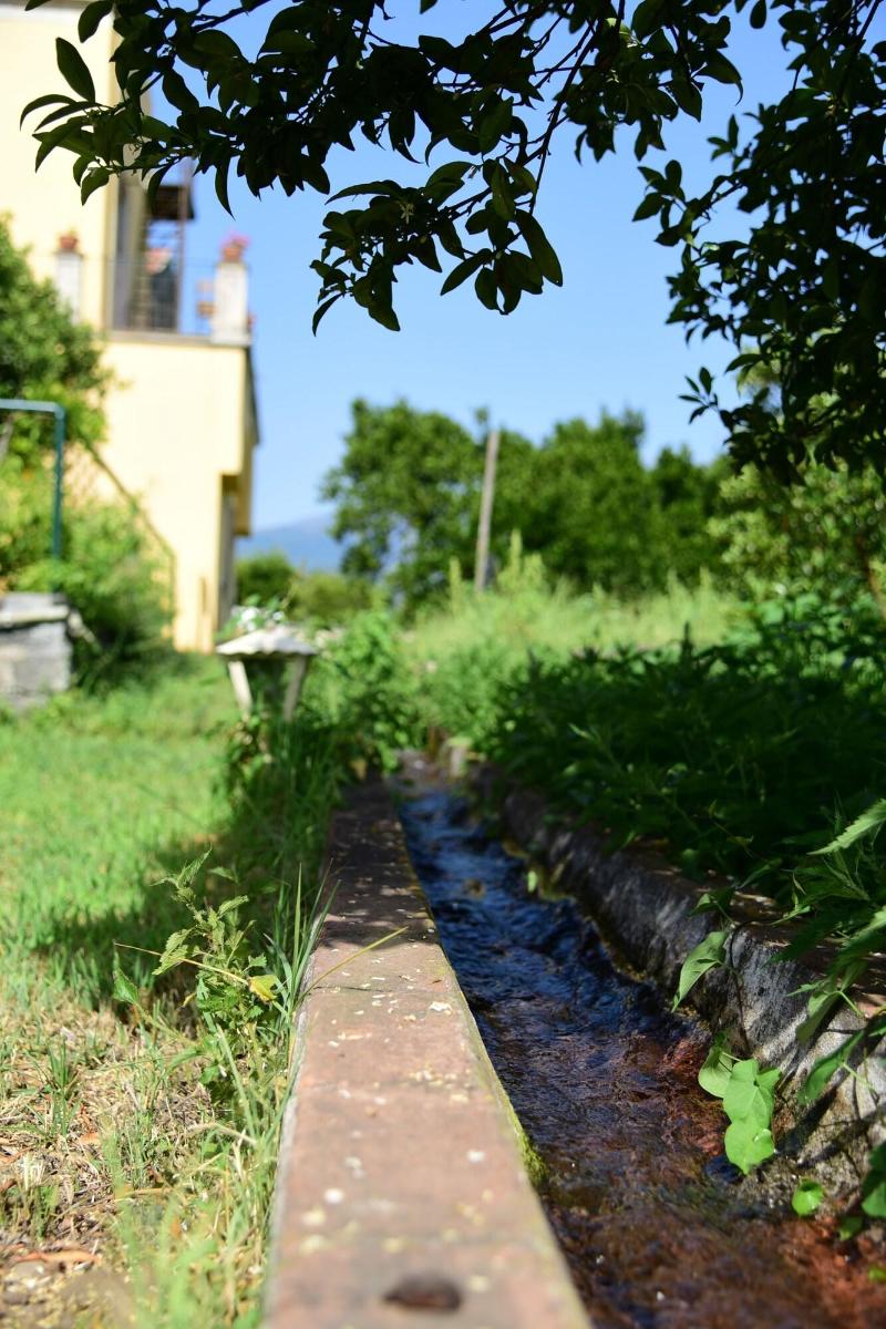 Giardino Arancio