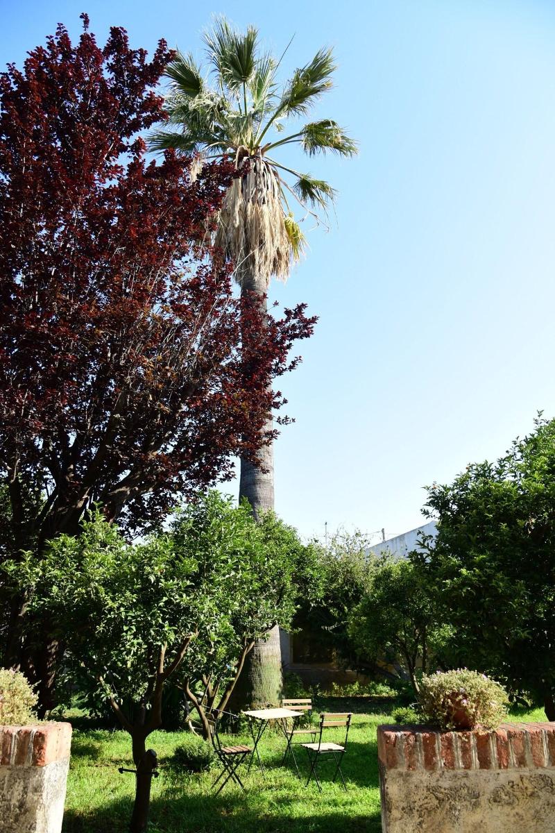 Giardino Arancio image