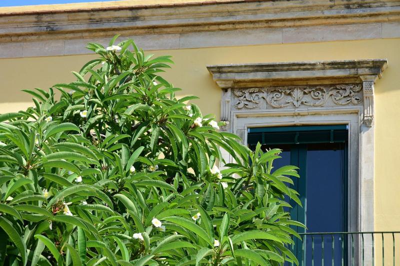 Giardino Arancio image