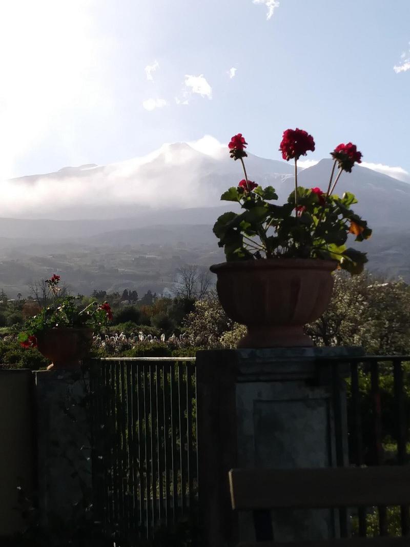 Giardino Arancio image