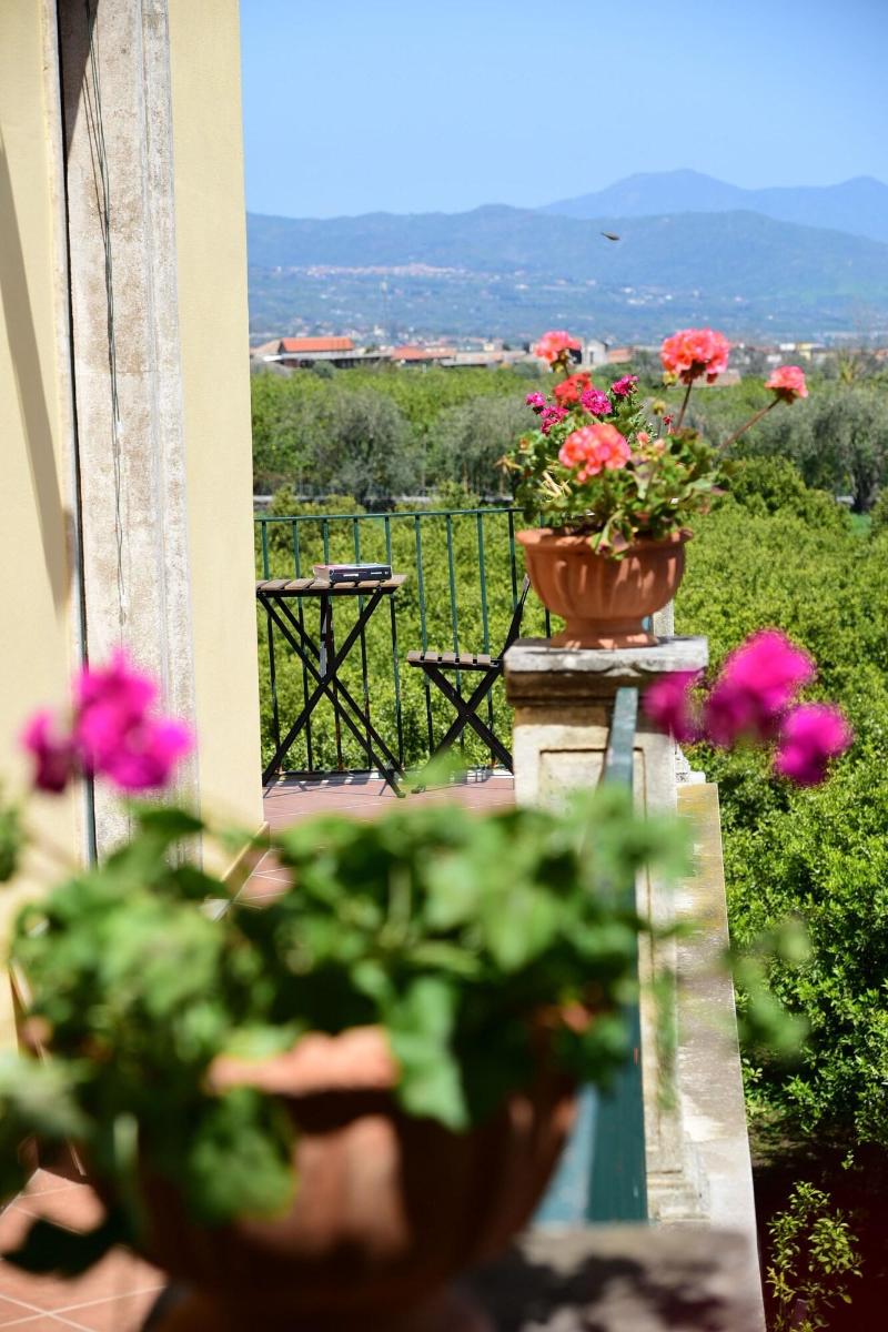 Giardino Arancio image