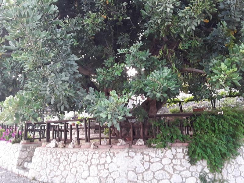 B&B La Scapola image