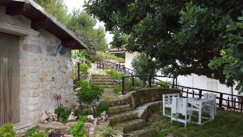B&B La Scapola image