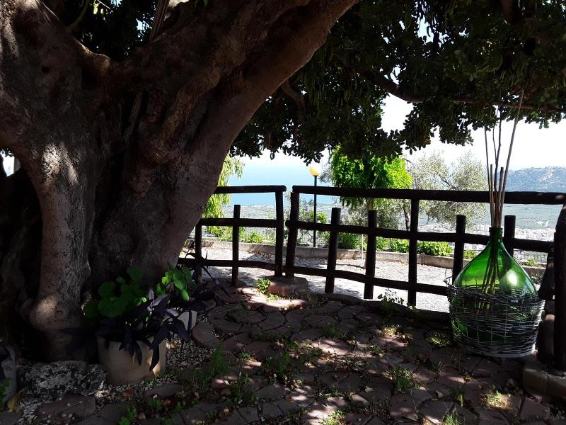 B&B La Scapola image