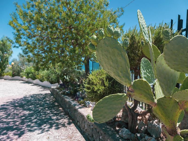 B&B La Scapola image