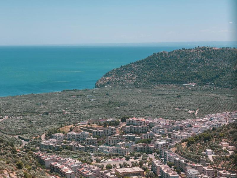 B&B La Scapola image