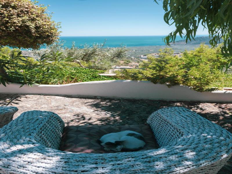 B&B La Scapola image