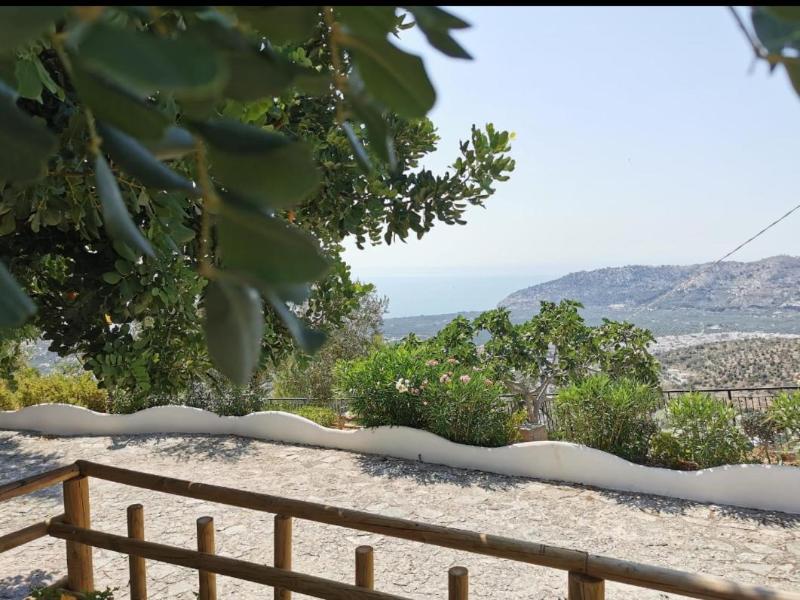B&B La Scapola image