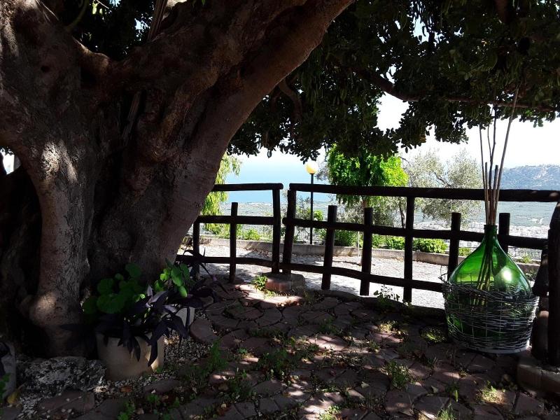 B&B La Scapola image