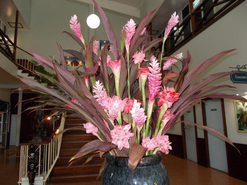 Madang Resort image