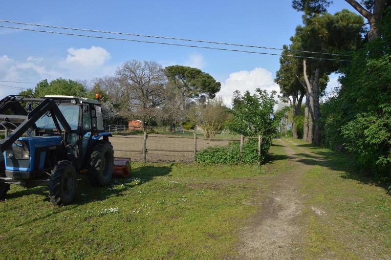 Agriturismo Tenuta Buon Respiro — photo 5