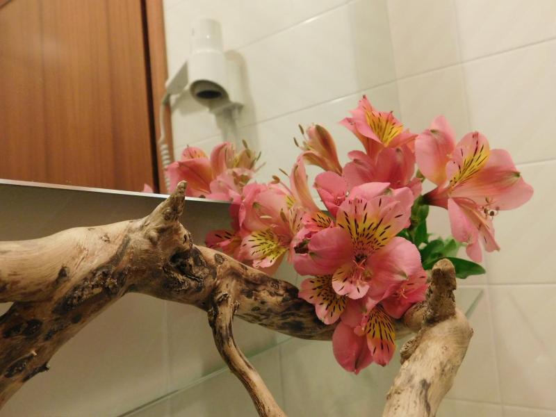 Albergo Alla Posta image