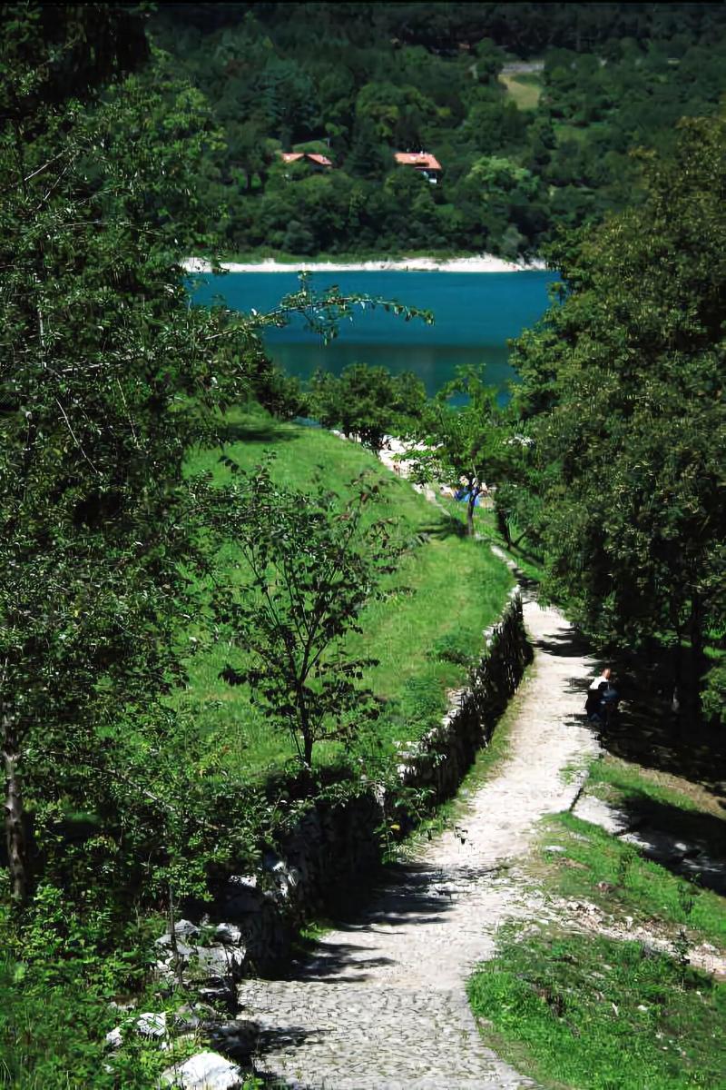 Albergo Stella Alpina image