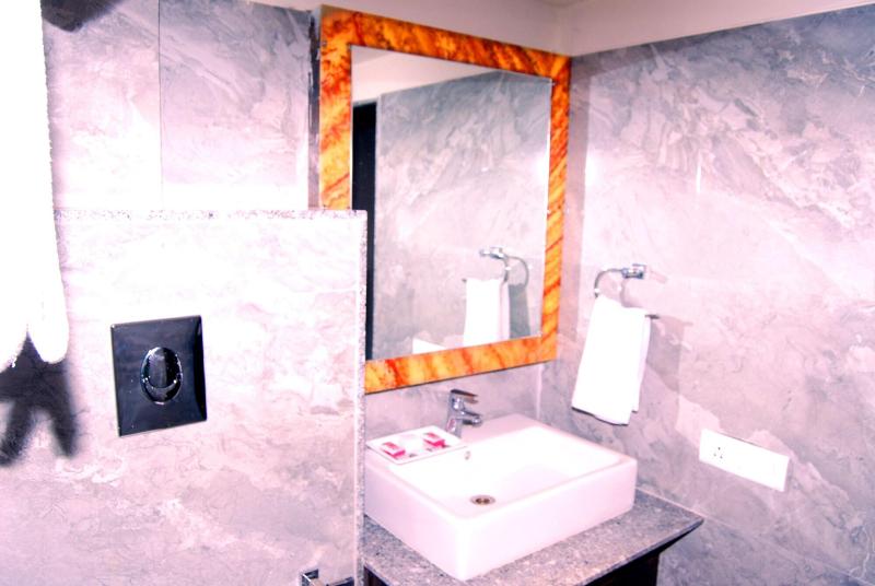 Apaar Hotel image