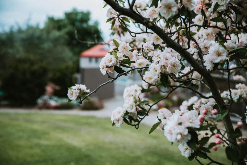 Araluen Boutique Accommodation image