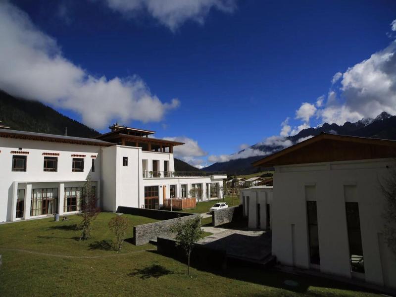 Artel Linzhi Poly