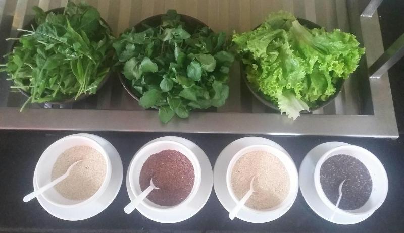 Pousada Chef Brasil