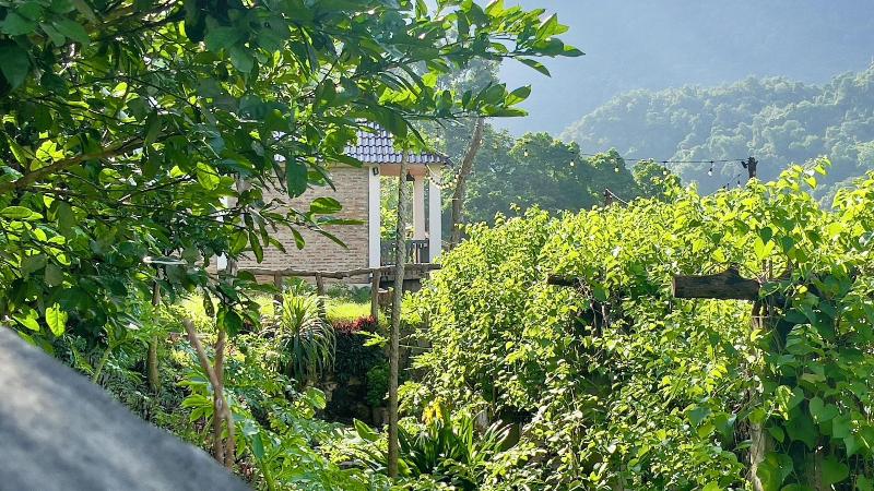 Ba Be Lakeside Bungalow image