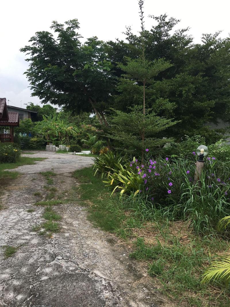 Baan Bangwua Resort image