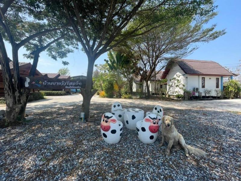 Baan Bangwua Resort image