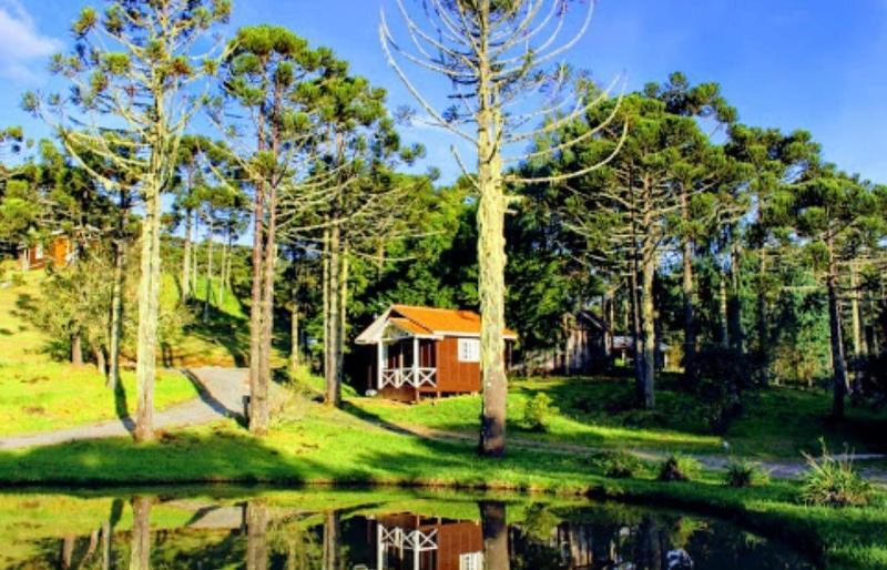 Pousada Fazenda Pedra Preta image