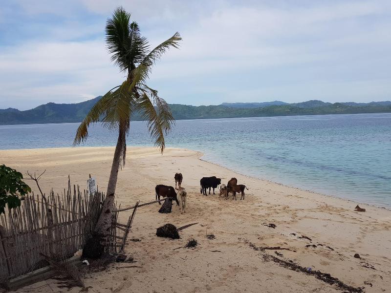 Backpackers Island Beach Camp - Adults Only image