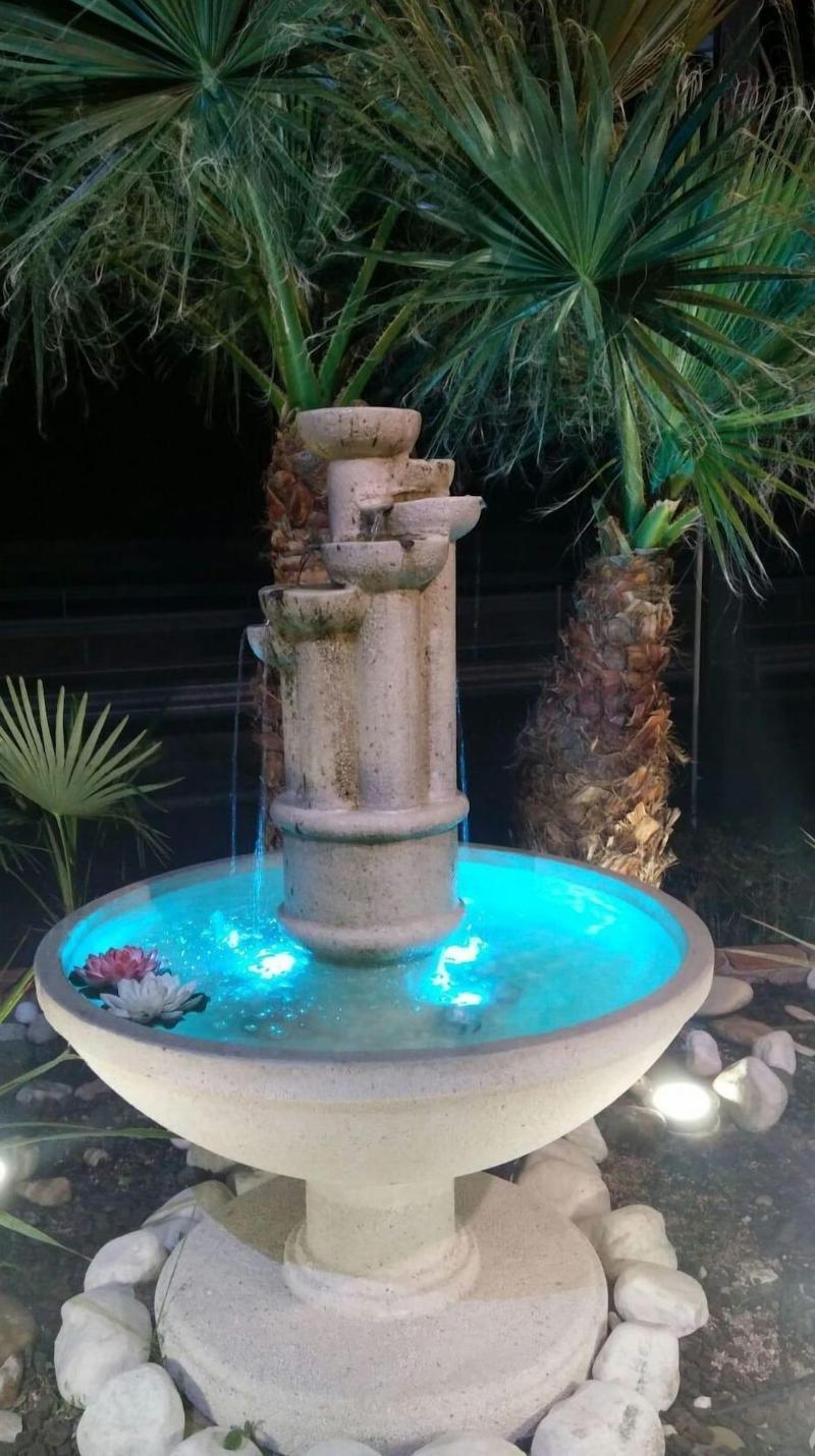 Hotel El Oasis image