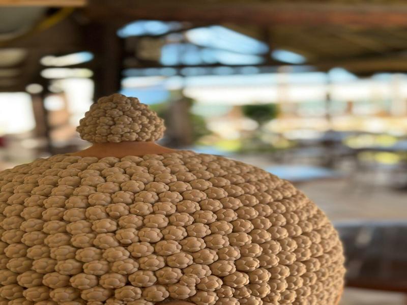 Pousada Restaurante Juscelino E Lazer