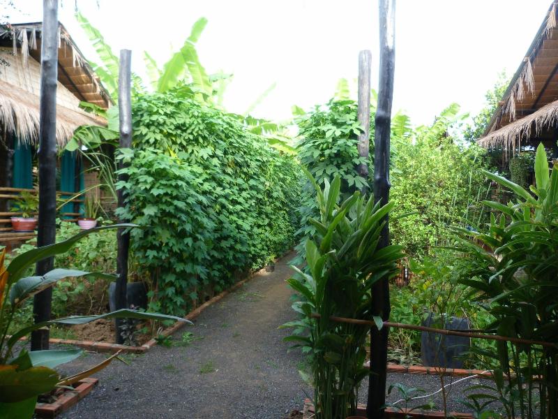 Battambang Dream Bungalows image