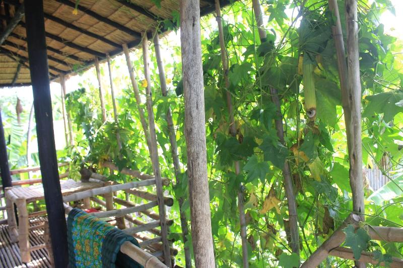 Battambang Dream Bungalows image
