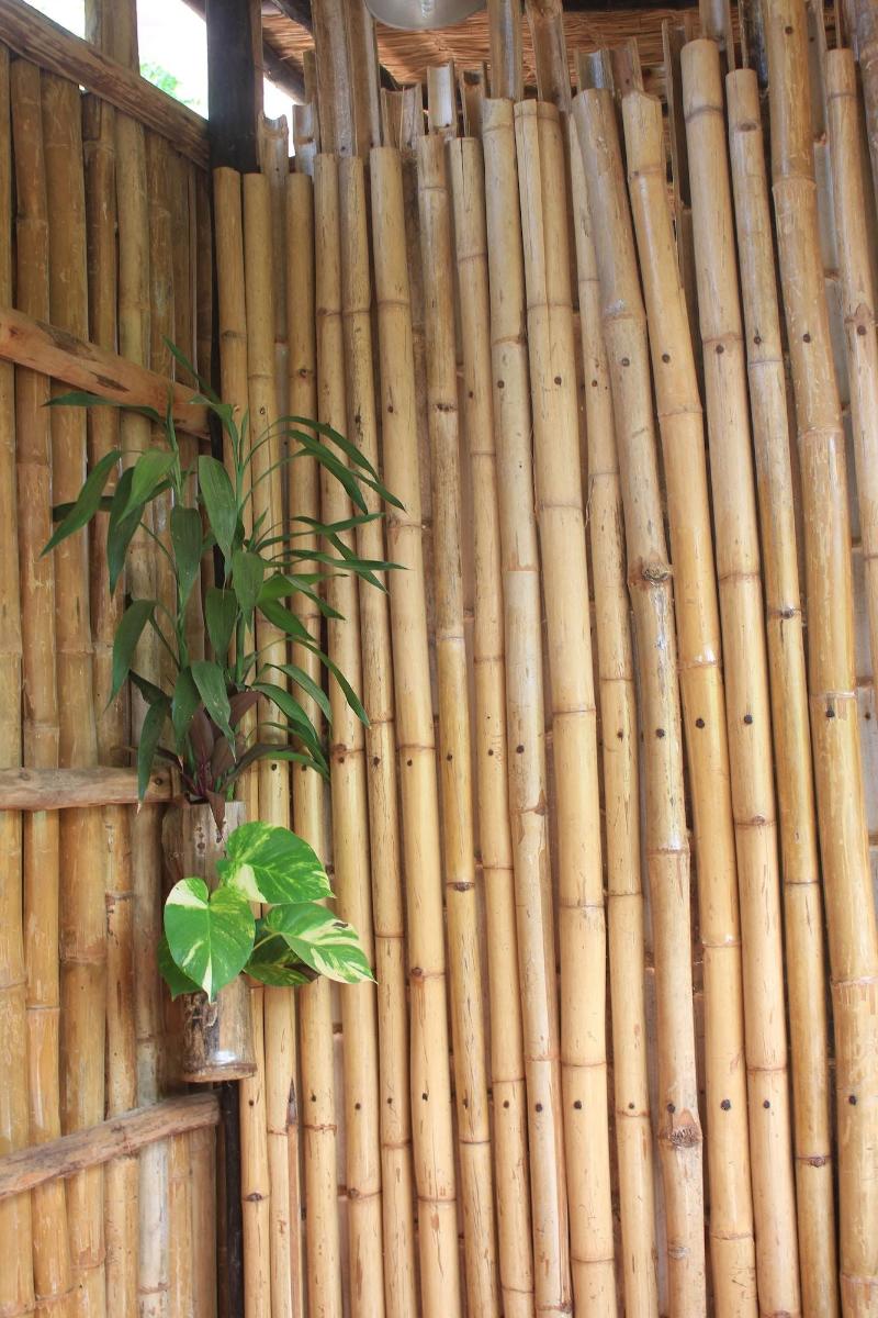Battambang Dream Bungalows image