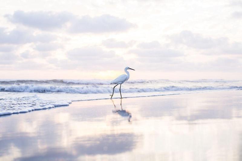 Present Moment Retreat image