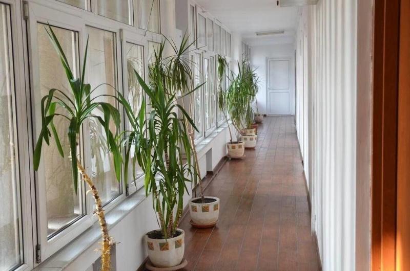 Hotel Gorj image