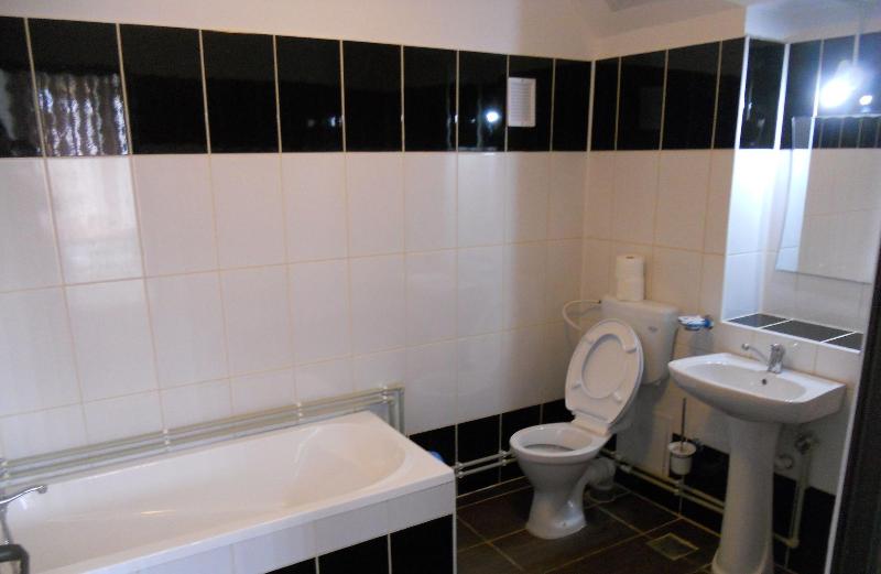 Hotel Gorj image