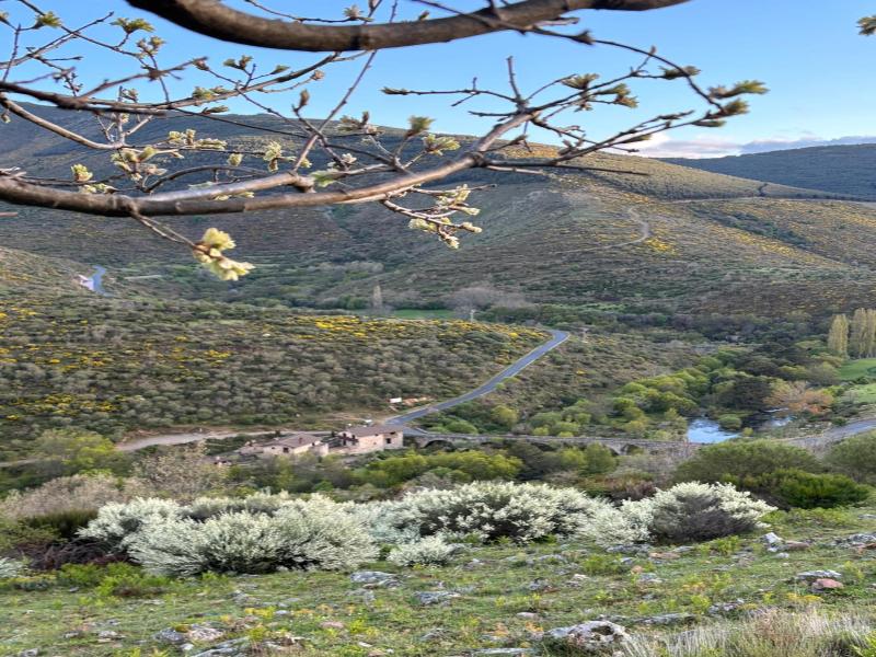 Hotel Gredos María Justina image