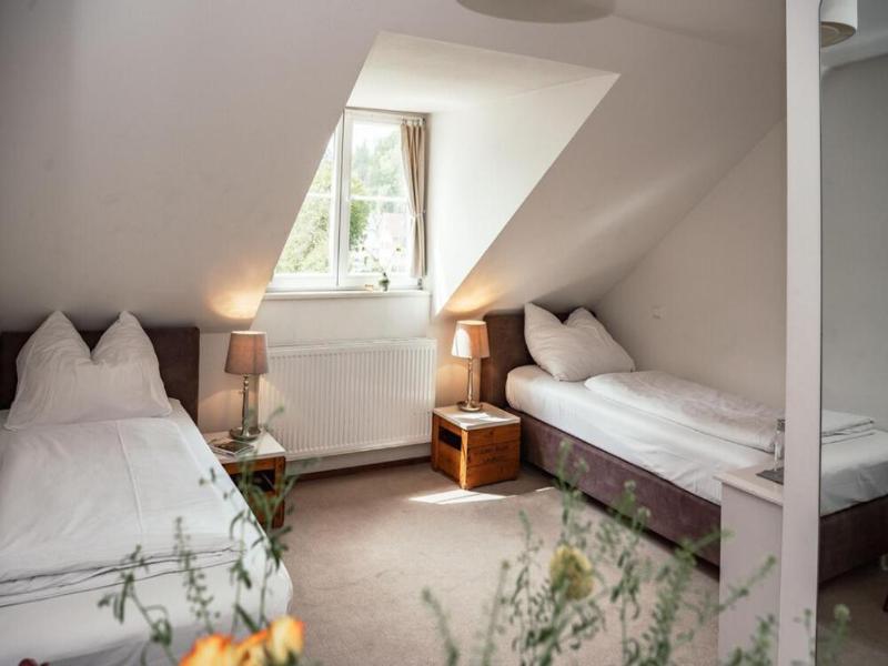Hotel Historischer Dorfgasthof Hirsch image