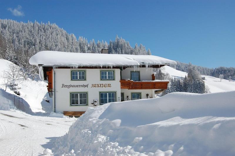 Bergbauernhof Irxner image