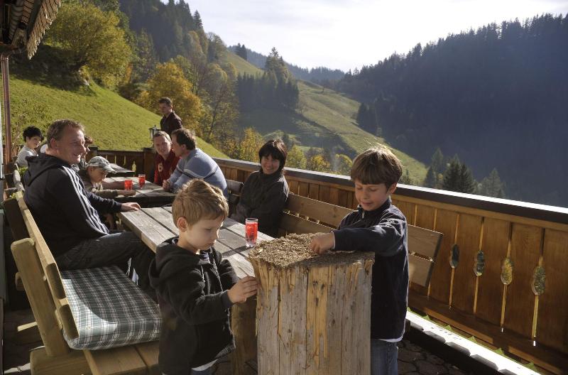 Bergbauernhof Irxner image