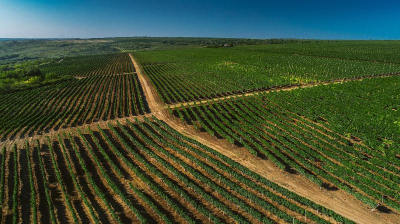 Purcari Winery image 10