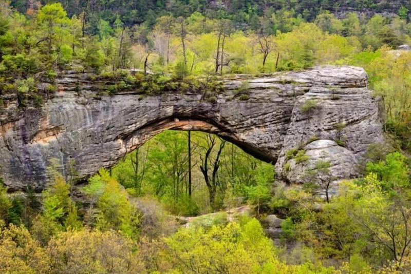 Big South Fork Trail Lodge image