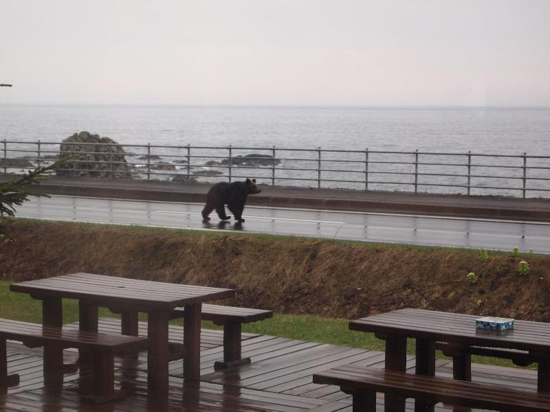 Hotel Kifu Club Shiretoko image