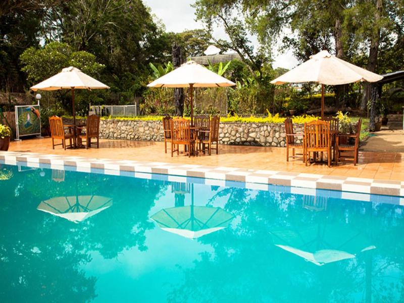 Bird of Paradise Hotel & Apartments image