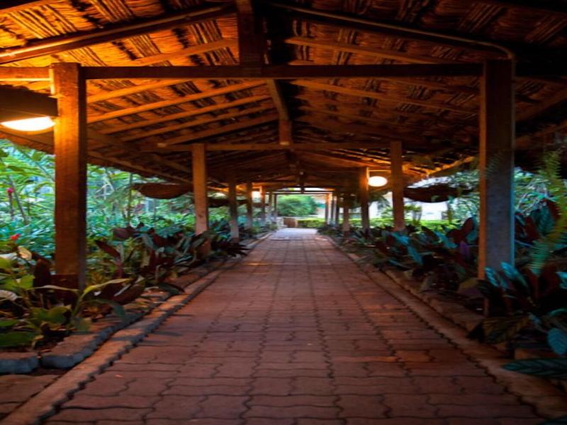 Bird of Paradise Hotel & Apartments image