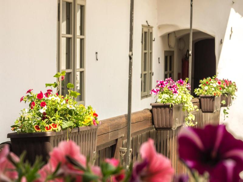 Hotel Kocour image