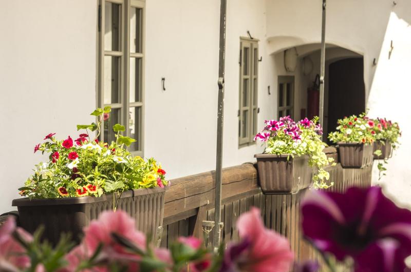 Hotel Kocour image